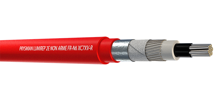 FR-N6 XC7XZ4V-R LUMIREP "E" OU "2E" NON ARME