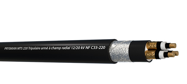 MTS 220 TRIPOLAIRE ARME A CHAMP RADIAL
