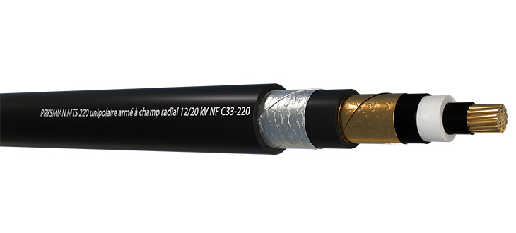 MTS 220 UNIPOLAIRE ARME RADIAL