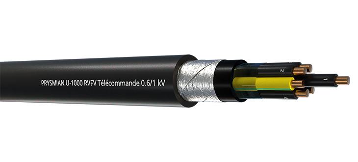 U-1000 RVFV Télécommande