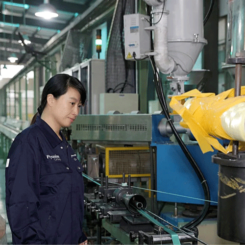 Ma carrière dans une grande usine